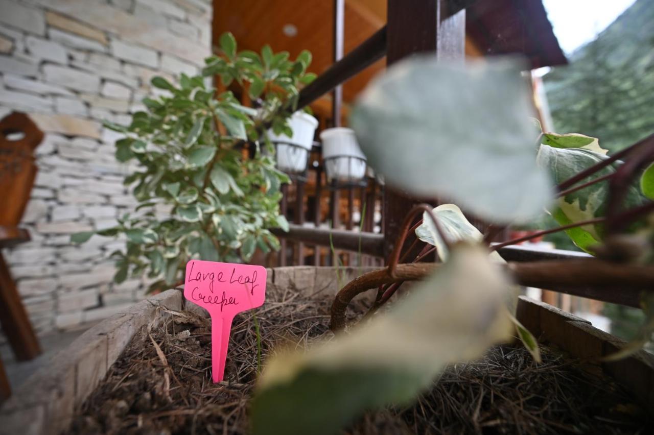 The Hillside Hotel Kasol Ngoại thất bức ảnh
